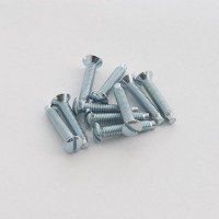 BG Nexus 19mm Spare Screws